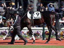 ����å��ǳ��������ɽ�����ޤ�