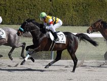 ����å��ǳ��������ɽ�����ޤ�