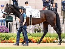 ����å��ǳ��������ɽ�����ޤ�