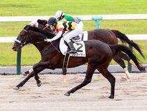 ����å��ǳ��������ɽ�����ޤ�