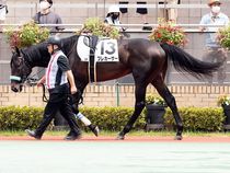 ����å��ǳ��������ɽ�����ޤ�