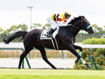 ����å��ǳ��������ɽ�����ޤ�