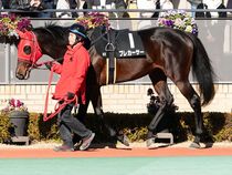 ����å��ǳ��������ɽ�����ޤ�