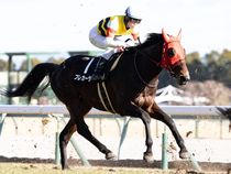 ����å��ǳ��������ɽ�����ޤ�