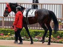 ����å��ǳ��������ɽ�����ޤ�