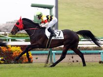 ����å��ǳ��������ɽ�����ޤ�