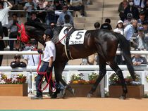 ����å��ǳ��������ɽ�����ޤ�