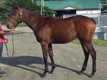 ����å��ǳ��������ɽ�����ޤ�