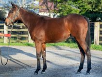 ����å��ǳ��������ɽ�����ޤ�