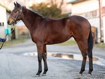 ����å��ǳ��������ɽ�����ޤ�