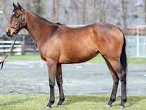 ����å��ǳ��������ɽ�����ޤ�