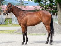 ����å��ǳ��������ɽ�����ޤ�