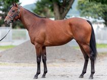 ����å��ǳ��������ɽ�����ޤ�