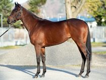 ����å��ǳ��������ɽ�����ޤ�