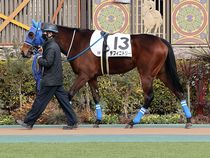 ����å��ǳ��������ɽ�����ޤ�