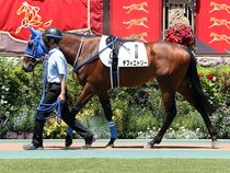 ����å��ǳ��������ɽ�����ޤ�