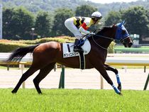 ����å��ǳ��������ɽ�����ޤ�