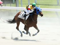 ����å��ǳ��������ɽ�����ޤ�