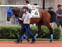 ����å��ǳ��������ɽ�����ޤ�