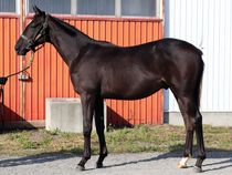 ����å��ǳ��������ɽ�����ޤ�