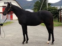 ����å��ǳ��������ɽ�����ޤ�