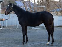 ����å��ǳ��������ɽ�����ޤ�