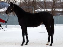 ����å��ǳ��������ɽ�����ޤ�