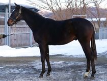 ����å��ǳ��������ɽ�����ޤ�