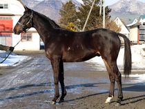 ����å��ǳ��������ɽ�����ޤ�