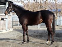 ����å��ǳ��������ɽ�����ޤ�