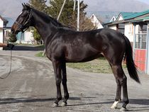 ����å��ǳ��������ɽ�����ޤ�