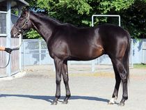 ����å��ǳ��������ɽ�����ޤ�