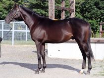 ����å��ǳ��������ɽ�����ޤ�