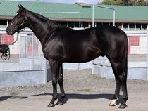 ����å��ǳ��������ɽ�����ޤ�