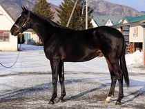 ����å��ǳ��������ɽ�����ޤ�