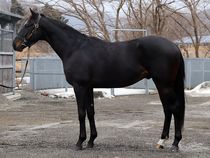 ����å��ǳ��������ɽ�����ޤ�