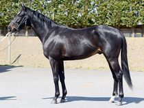 ����å��ǳ��������ɽ�����ޤ�