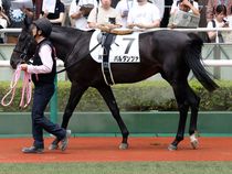 ����å��ǳ��������ɽ�����ޤ�