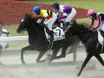 ����å��ǳ��������ɽ�����ޤ�