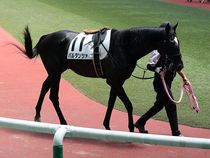 ����å��ǳ��������ɽ�����ޤ�