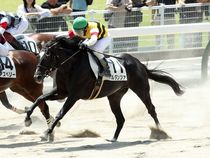 ����å��ǳ��������ɽ�����ޤ�