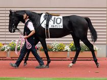 ����å��ǳ��������ɽ�����ޤ�