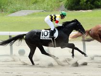 ����å��ǳ��������ɽ�����ޤ�