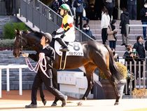 ����å��ǳ��������ɽ�����ޤ�