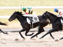 ����å��ǳ��������ɽ�����ޤ�