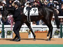 ����å��ǳ��������ɽ�����ޤ�