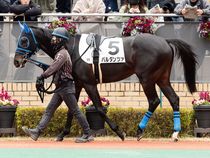 ����å��ǳ��������ɽ�����ޤ�