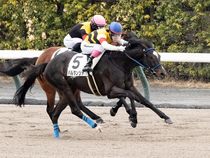 ����å��ǳ��������ɽ�����ޤ�