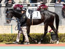 ����å��ǳ��������ɽ�����ޤ�