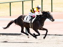 ����å��ǳ��������ɽ�����ޤ�